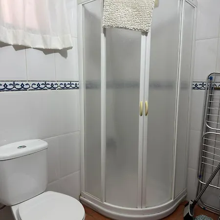 Nature In Apartament