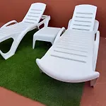 Nature In Apartment