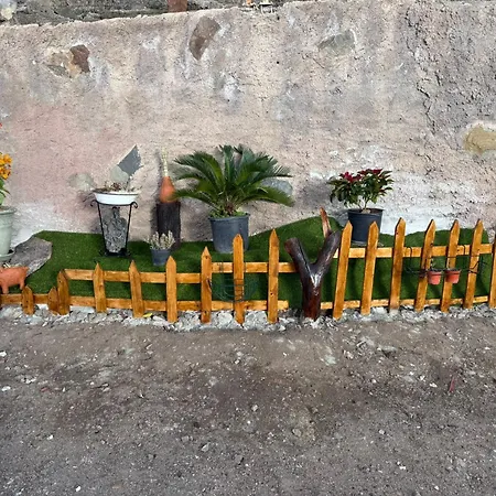 Nature In *