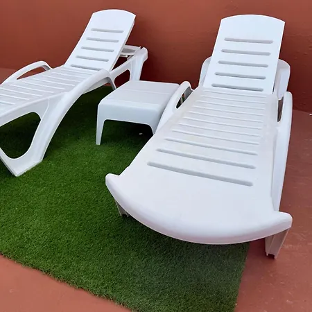 Nature In Appartement