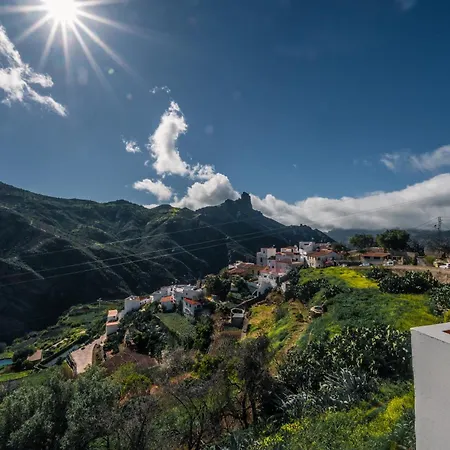 Nature In Tejeda (Gran Canaria)